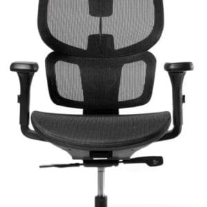 Silla Ergonomica Ergoplus 100% Malla Color Negro, Brazos 3d Negro Malla